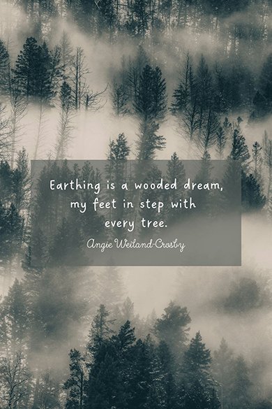 Earthing is a wooded dream quote
