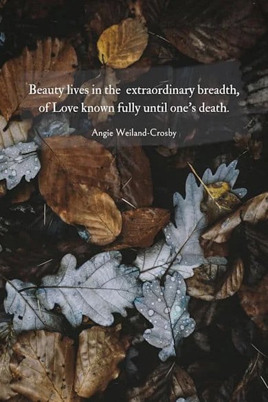 beauty lives in the extraordinary breadth quote