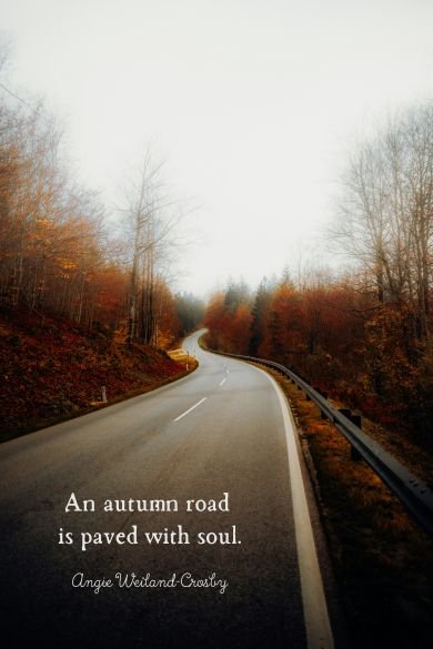 An autumn road quote