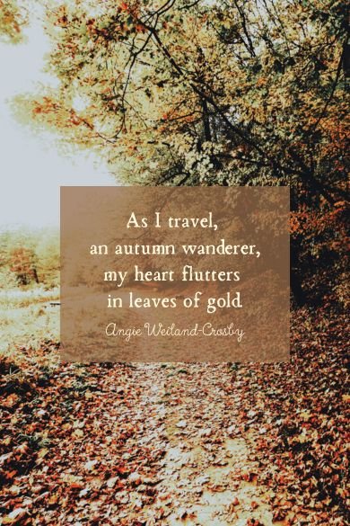 autumn wanderer quote