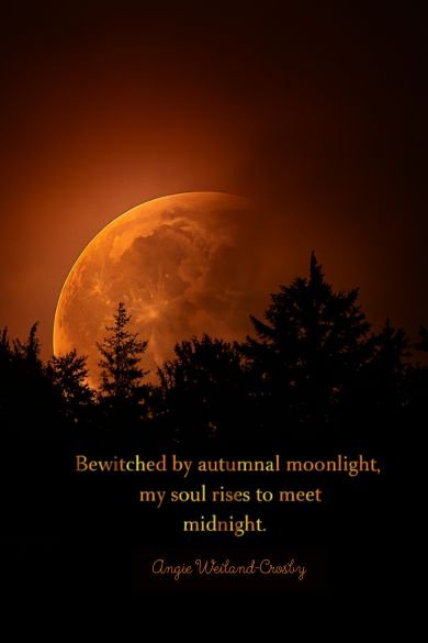 Bewitched by autumnal moonlight quote
