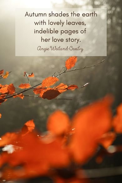 Autumn shades quote