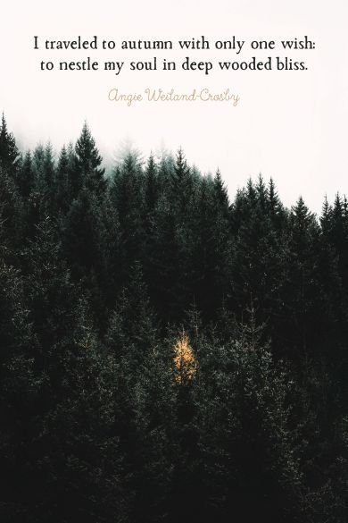 I traveled to autumn with only one wish quote