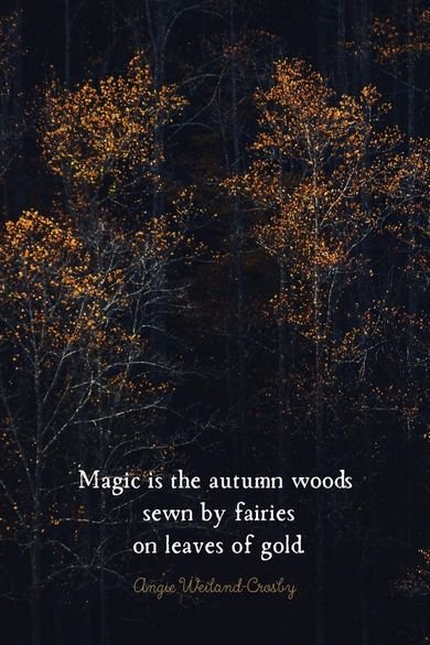 magic is the autumn woods quote