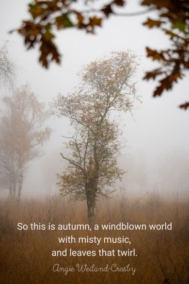 So this is autumn quote