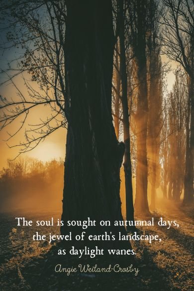 the soul is sought autumn quote