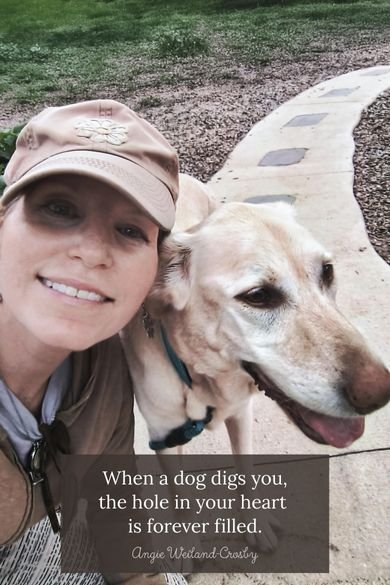 when a dog digs you dog quote