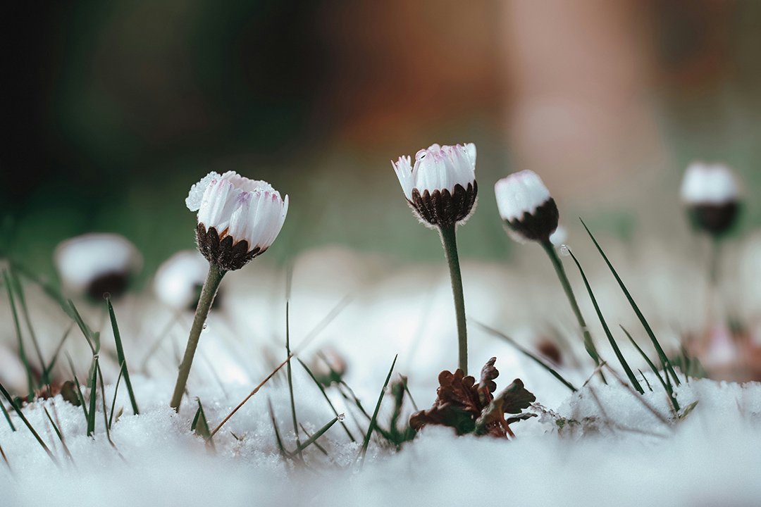 spring winter poem quotes from angie weiland-crosby